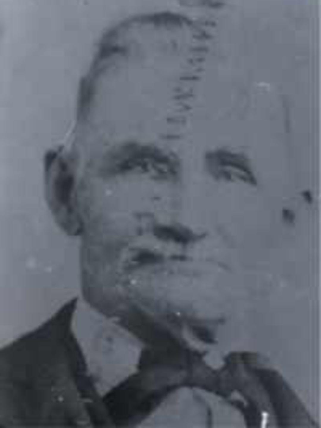 Stephen King Wilbur (1832 - 1905) Profile